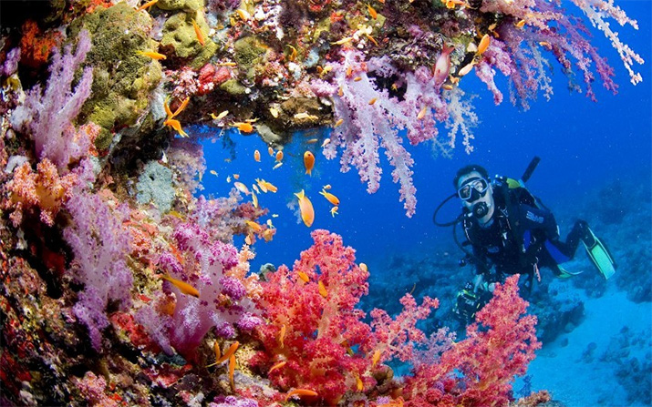 Красное море
