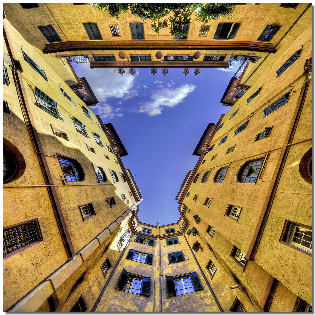 фотографии Stefano Scarselli