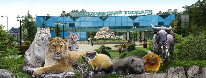 лучшие зоопарки России