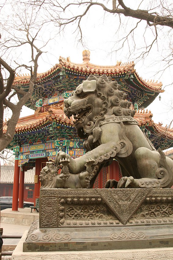 china6.JPG