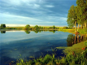 отдых в Подмосковье